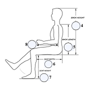 Anatomical assessment diagram.